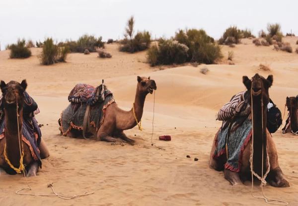 Jaisalmer Tour Package