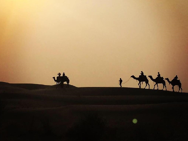 Overnight Camel Safari